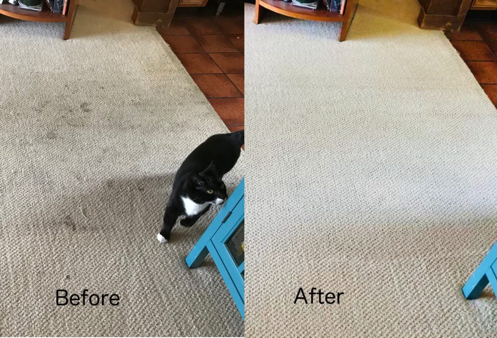 Carpet before and after cleaning